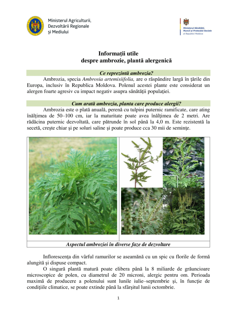 Ambrozia-1