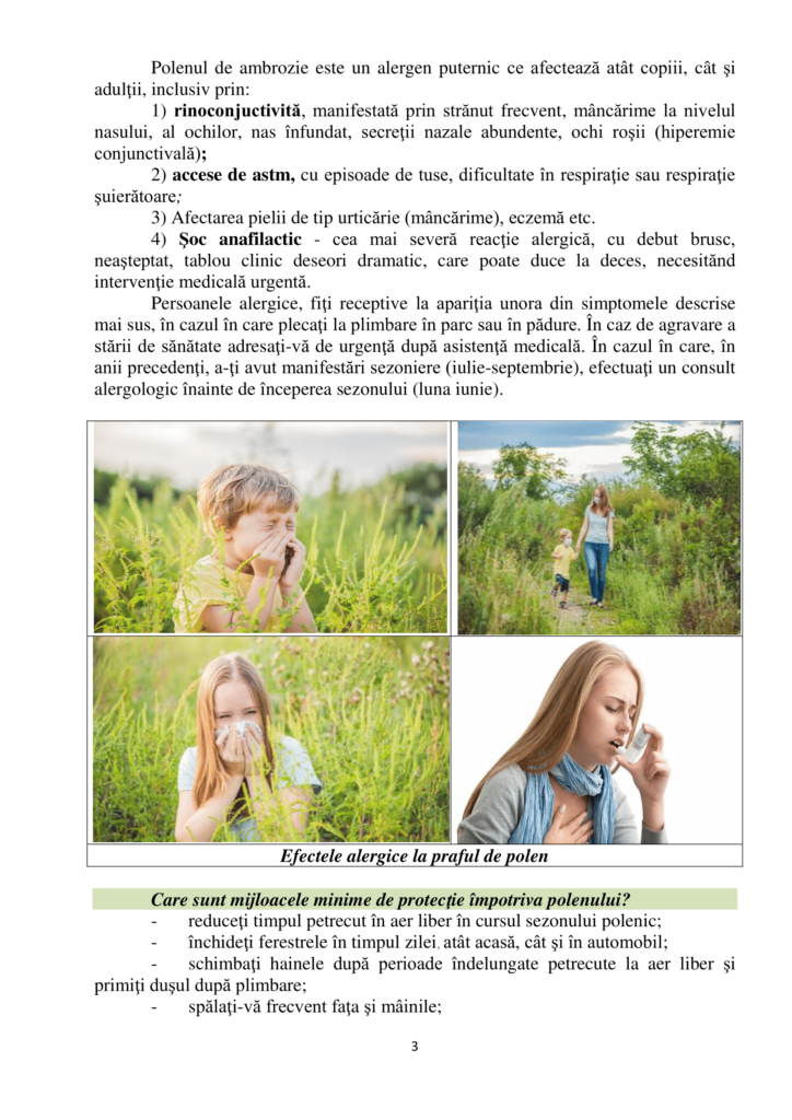 Ambrozia-3
