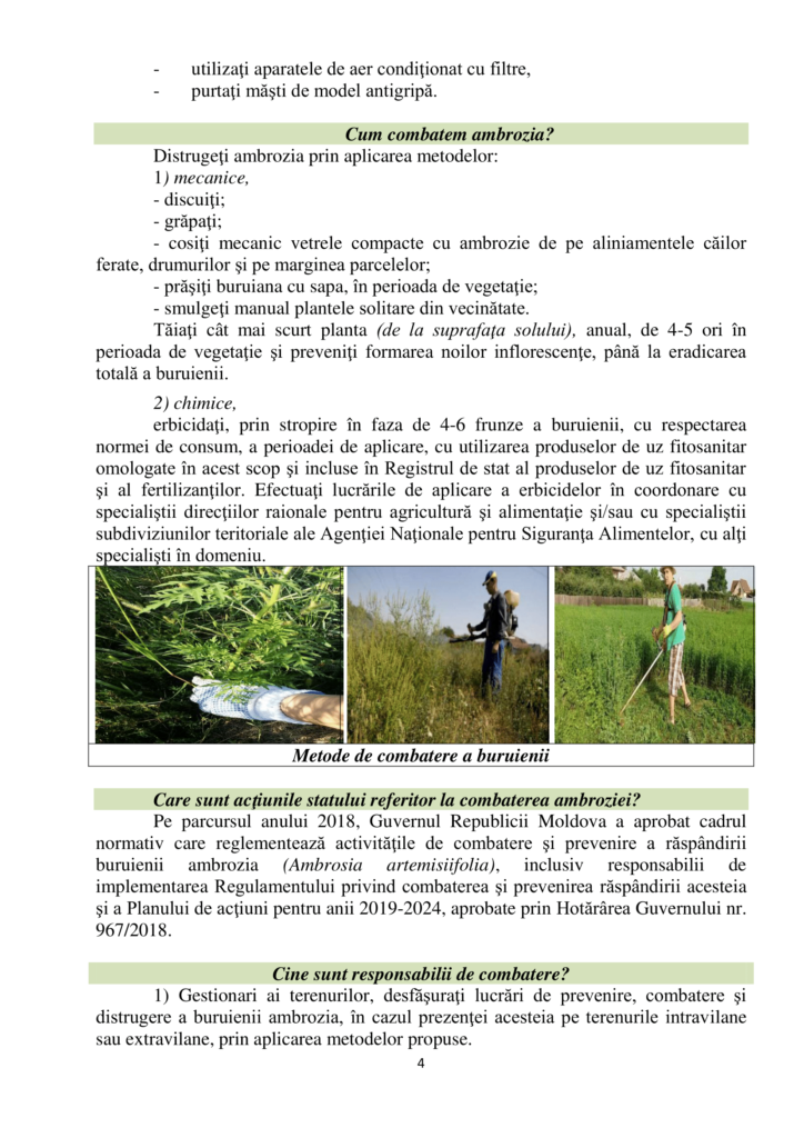 Ambrozia-4