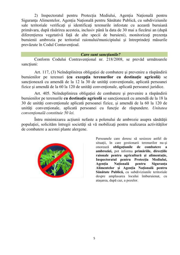 Ambrozia-5