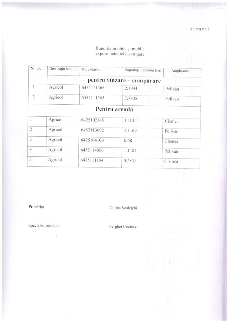 initierea consultarilor-3